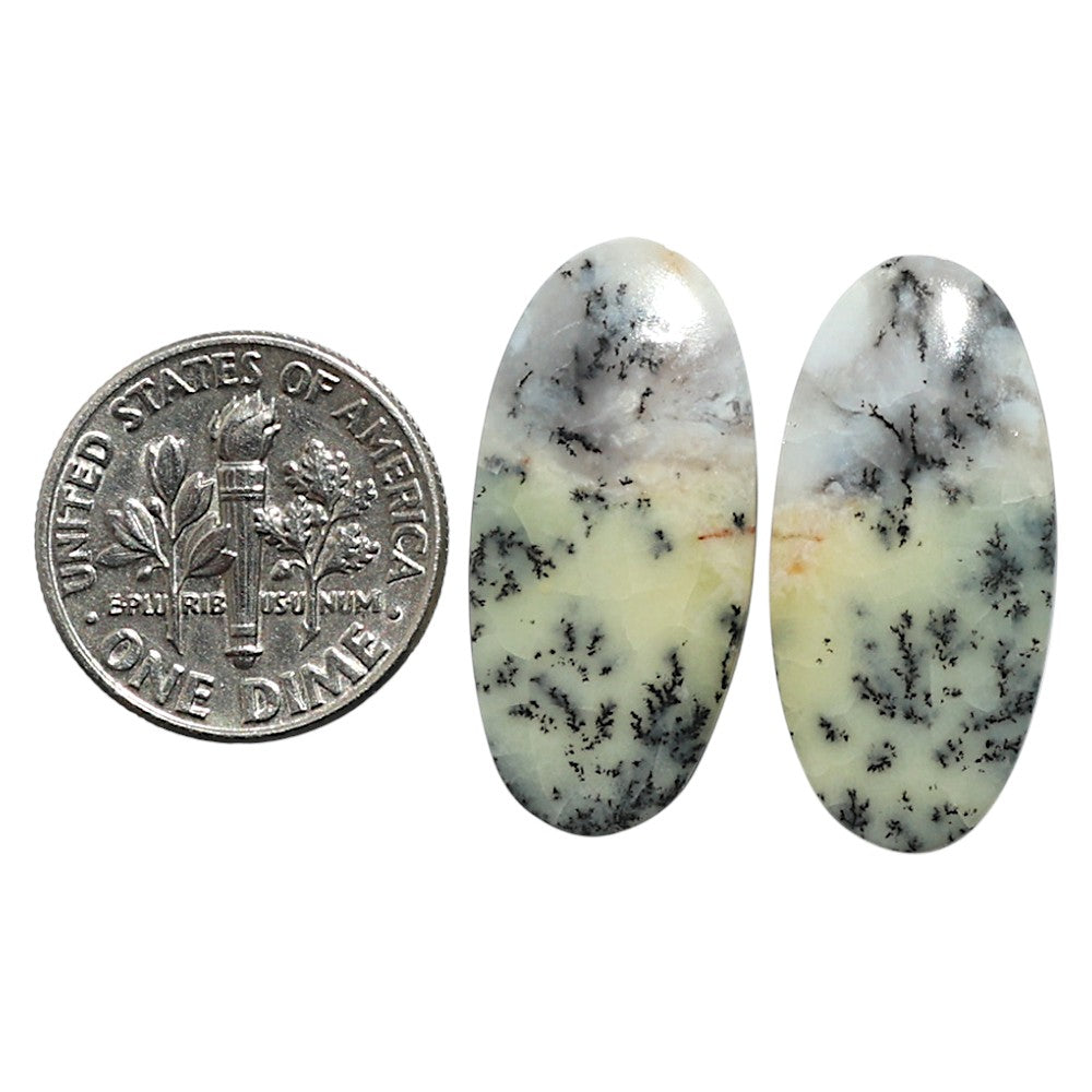 Natural Dendritic Chrysoprase 12.3x25.7x4 mm Oval Shape Polished Gemstone LS99-010559