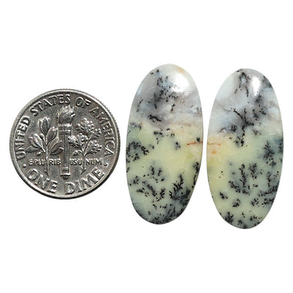 Natural Dendritic Chrysoprase 12.3x25.7x4 mm Oval Shape Polished Gemstone LS99-010559