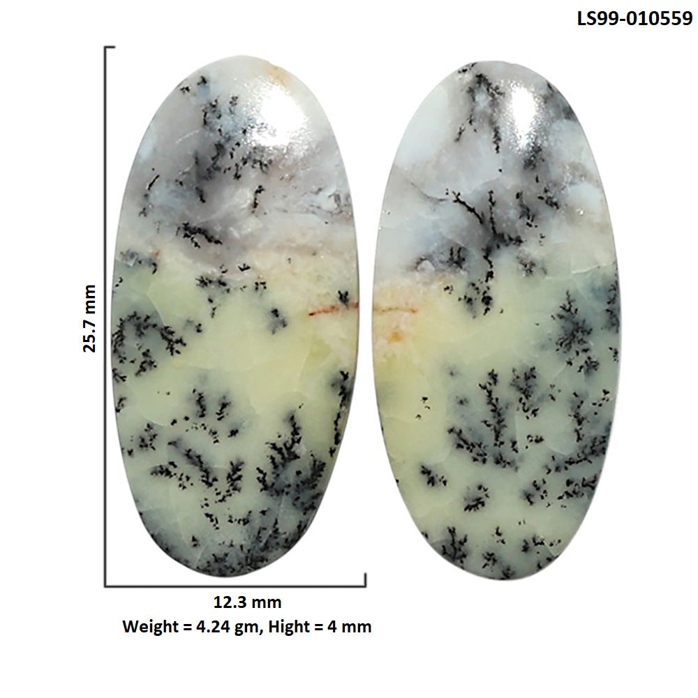 Natural Dendritic Chrysoprase 12.3x25.7x4 mm Oval Shape Polished Gemstone LS99-010559