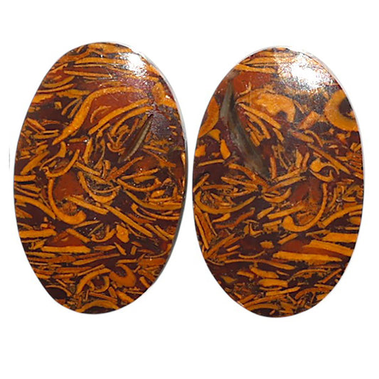 Natural Coquina Fossil Jasper 14.7x23x3.5 mm Oval Shape Polished Gemstone LS99-010561