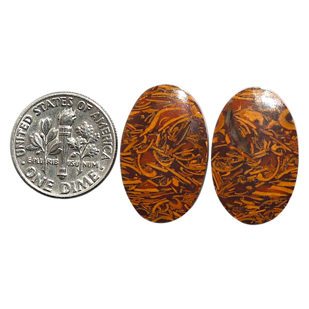 Natural Coquina Fossil Jasper 14.7x23x3.5 mm Oval Shape Polished Gemstone LS99-010561