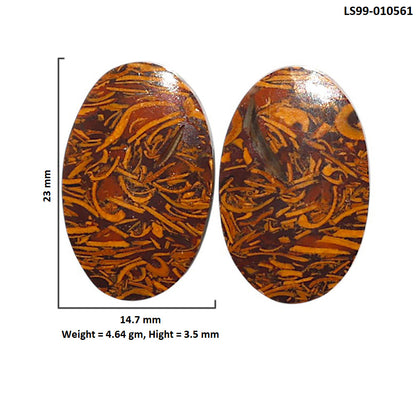 Natural Coquina Fossil Jasper 14.7x23x3.5 mm Oval Shape Polished Gemstone LS99-010561