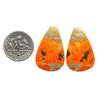 Natural Indonesian Bumble Bee 17x26.15x3 mm Fancy Shape Polished Gemstone LS99-010565