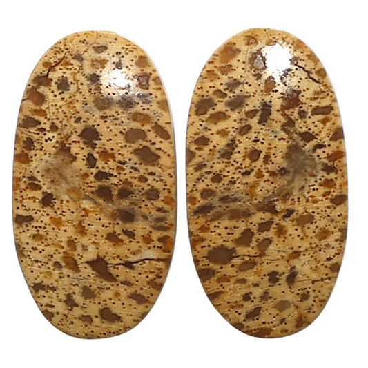 Natural Root Plume Agate 13.8x25.9x4 mm Oval Shape Polished Gemstone LS99-010566