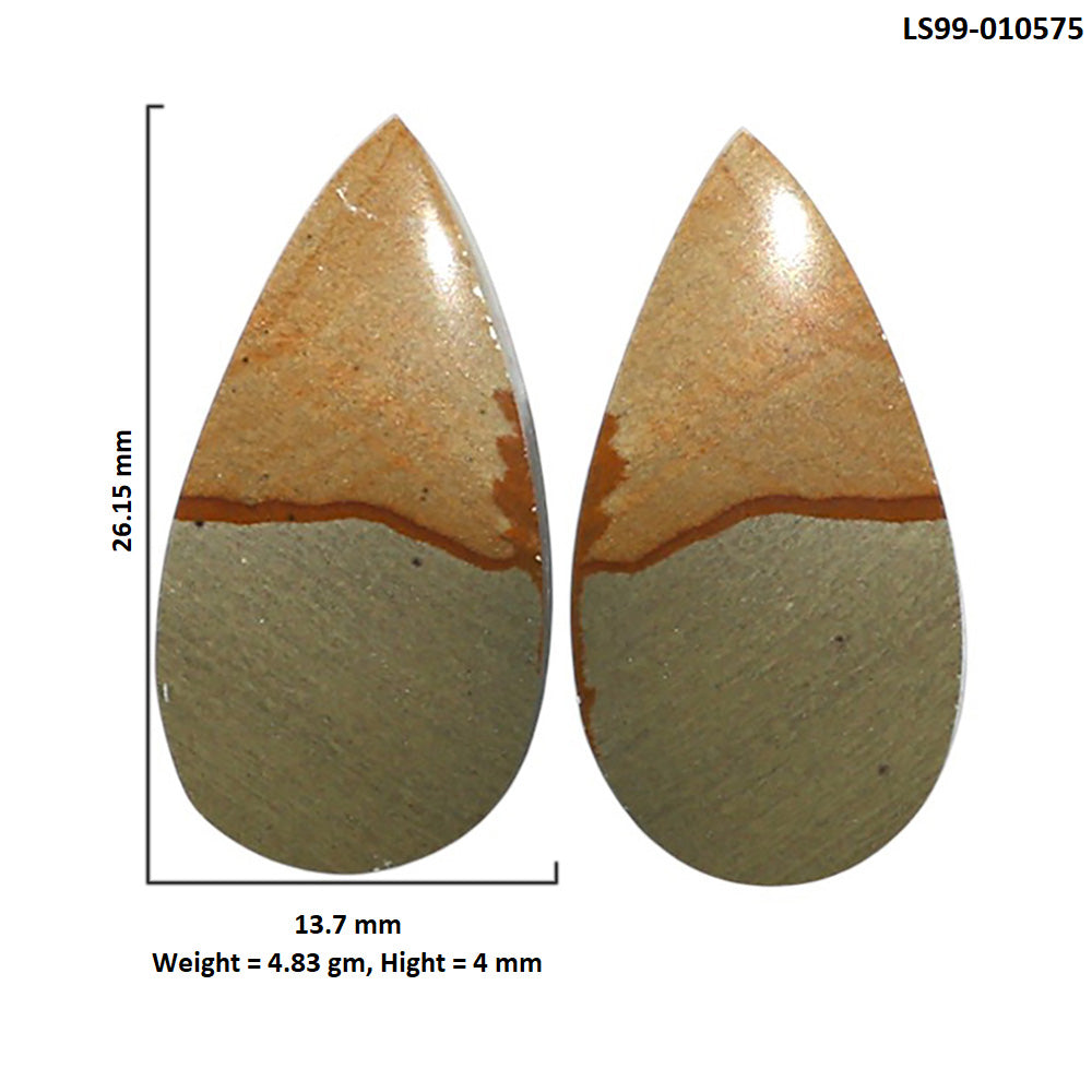 Natural Polygram Jasper 13.7x26.15x4 mm Pear Shape Polished Gemstone LS99-010575