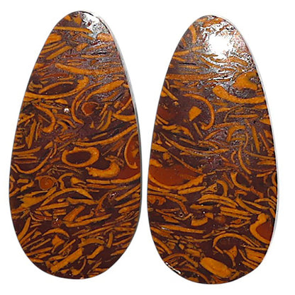 Natural Coquina Fossil Jasper 12.7x25.5x3.5 mm Fancy Shape Polished Gemstone LS99-010581