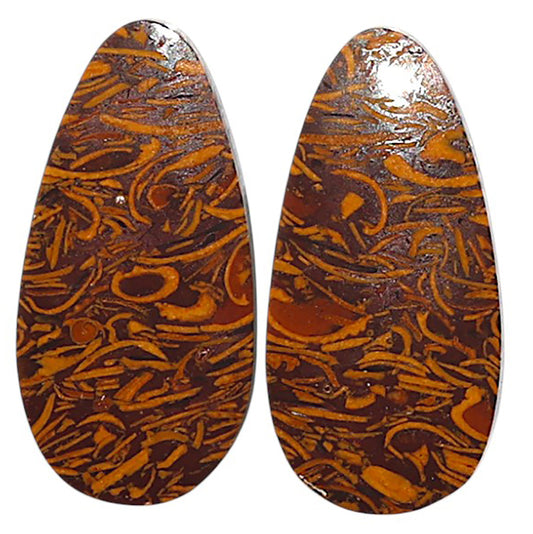 Natural Coquina Fossil Jasper 12.7x25.5x3.5 mm Fancy Shape Polished Gemstone LS99-010581