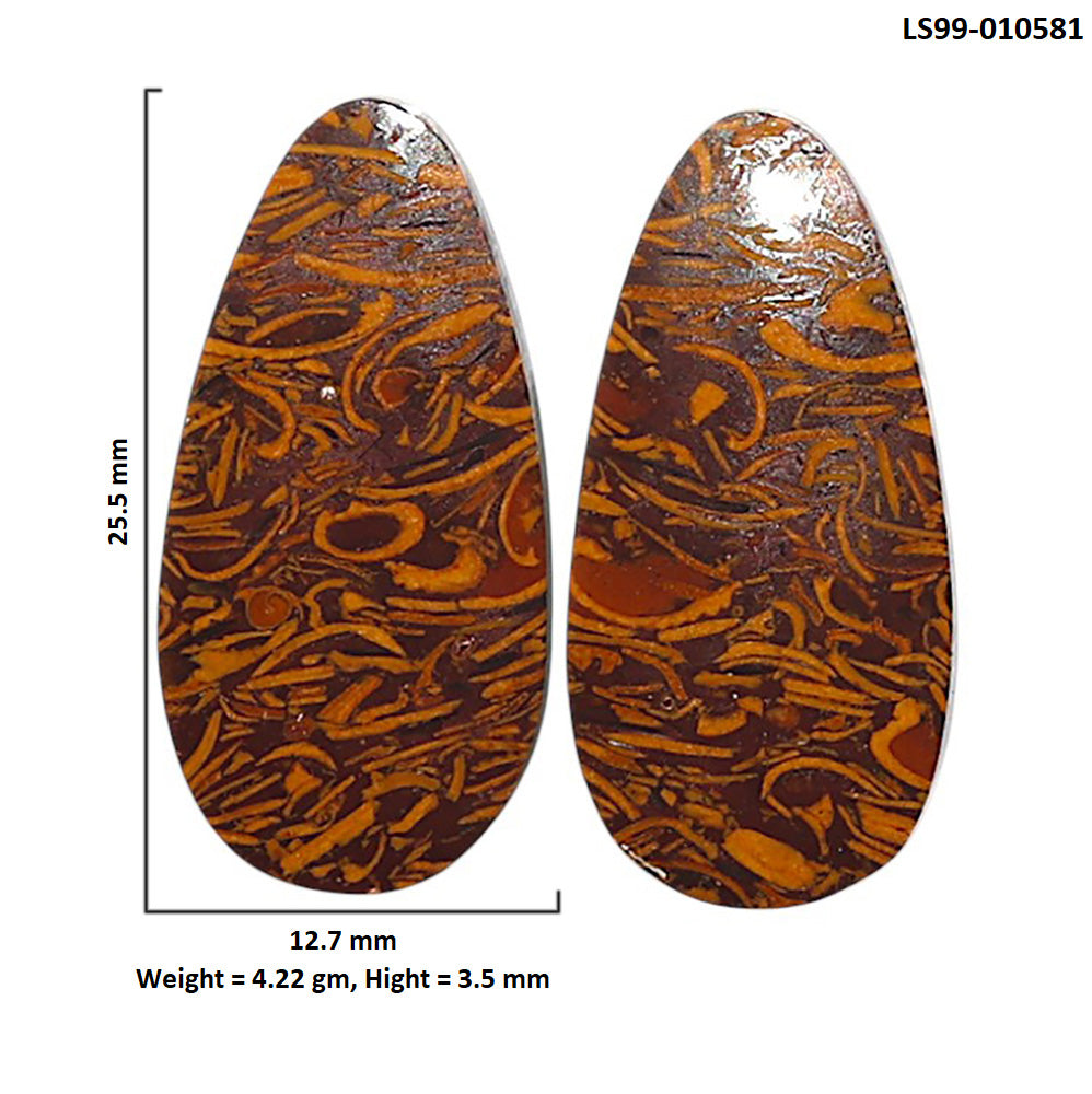 Natural Coquina Fossil Jasper 12.7x25.5x3.5 mm Fancy Shape Polished Gemstone LS99-010581