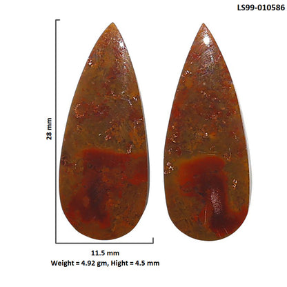 Natural Rare Cady Mountain Agate 11.5x28x4.5 mm Pear Shape Polished Gemstone LS99-010586