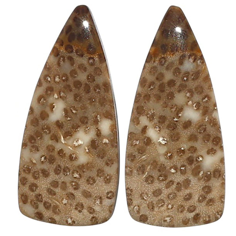 Natural Root Plume Agate 12x26.3x4 mm Fancy Shape Polished Gemstone LS99-010592