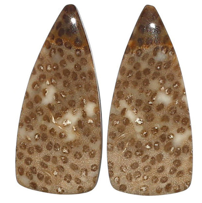 Natural Root Plume Agate 12x26.3x4 mm Fancy Shape Polished Gemstone LS99-010592