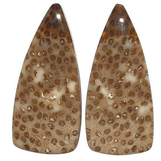 Natural Root Plume Agate 12x26.3x4 mm Fancy Shape Polished Gemstone LS99-010592