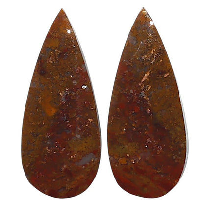 Natural Rare Cady Mountain Agate 10.7x25.2x4 mm Pear Shape Polished Gemstone LS99-010595