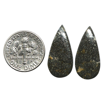 Natural Nipomo Marcasite Agate 11x22.9x3.5 mm Pear Shape Polished Gemstone LS99-010596