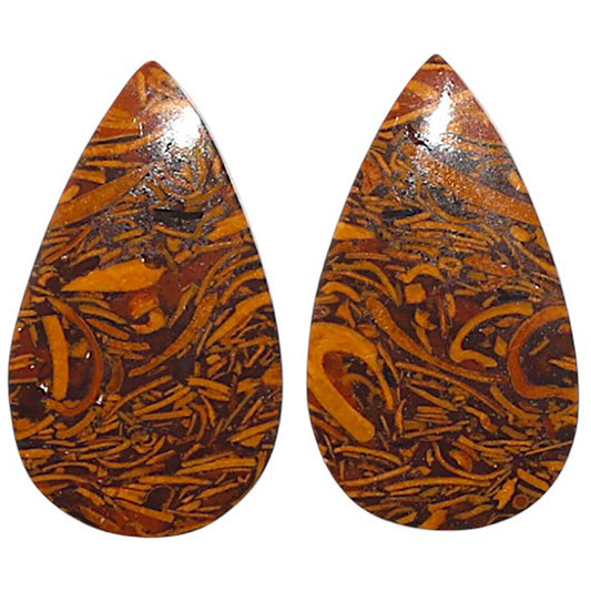 Natural Coquina Fossil Jasper 13.3x23x4 mm Pear Shape Polished Gemstone LS99-010599