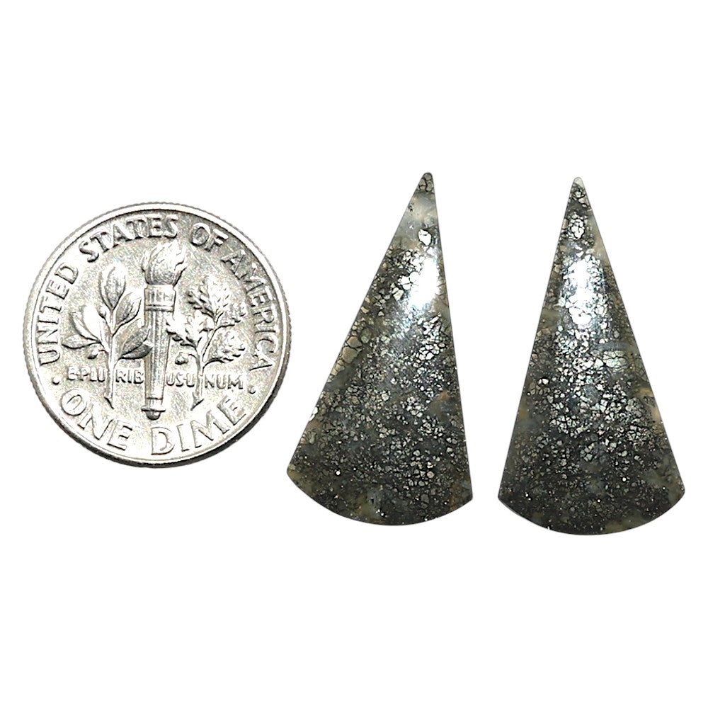 Natural Nipomo Marcasite Agate 12.5x23.8x3.5 mm Fancy Shape Polished Gemstone LS99-010603