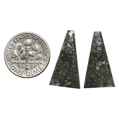 Natural Nipomo Marcasite Agate 12x21.7x4 mm Fancy Shape Polished Gemstone LS99-010606