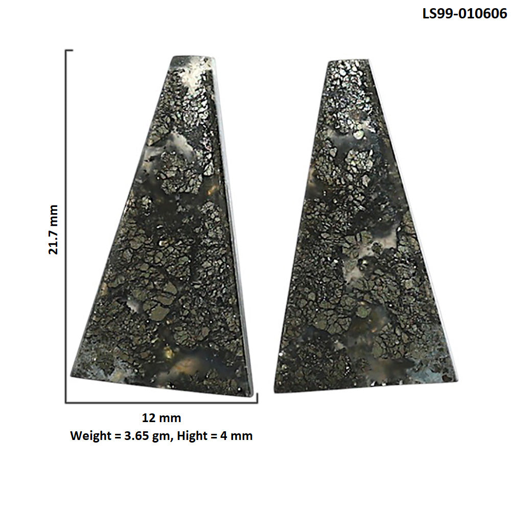 Natural Nipomo Marcasite Agate 12x21.7x4 mm Fancy Shape Polished Gemstone LS99-010606