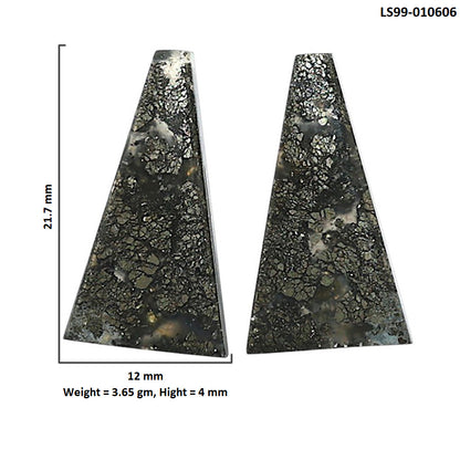 Natural Nipomo Marcasite Agate 12x21.7x4 mm Fancy Shape Polished Gemstone LS99-010606