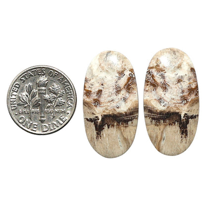 Natural Root Plume Agate 14x27.4x4 mm Oval Shape Polished Gemstone LS99-010618