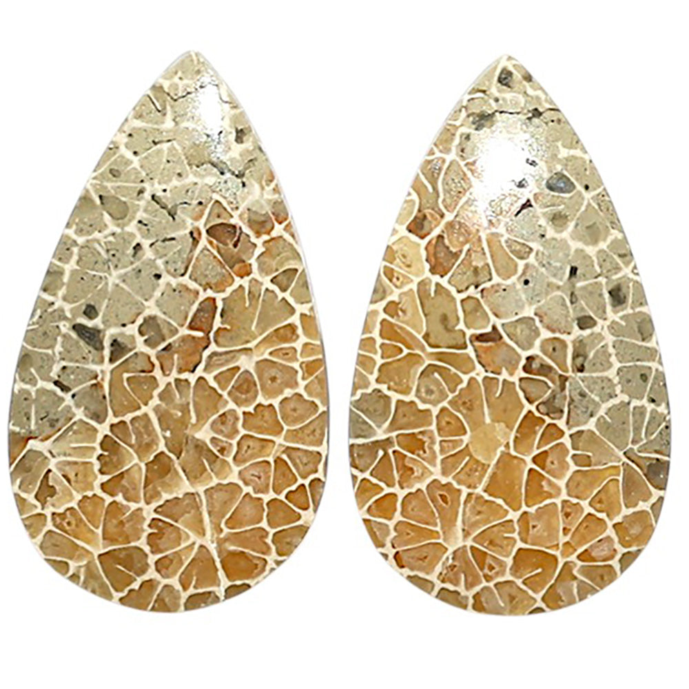 Natural Flower Fossil Coral 15x25.9x4 mm Pear Shape Polished Gemstone LS99-010627