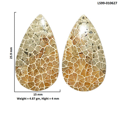 Natural Flower Fossil Coral 15x25.9x4 mm Pear Shape Polished Gemstone LS99-010627