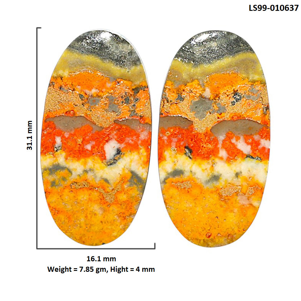 Natural Indonesian Bumble Bee 16.1x31.1x4 mm Oval Shape Polished Gemstone LS99-010637