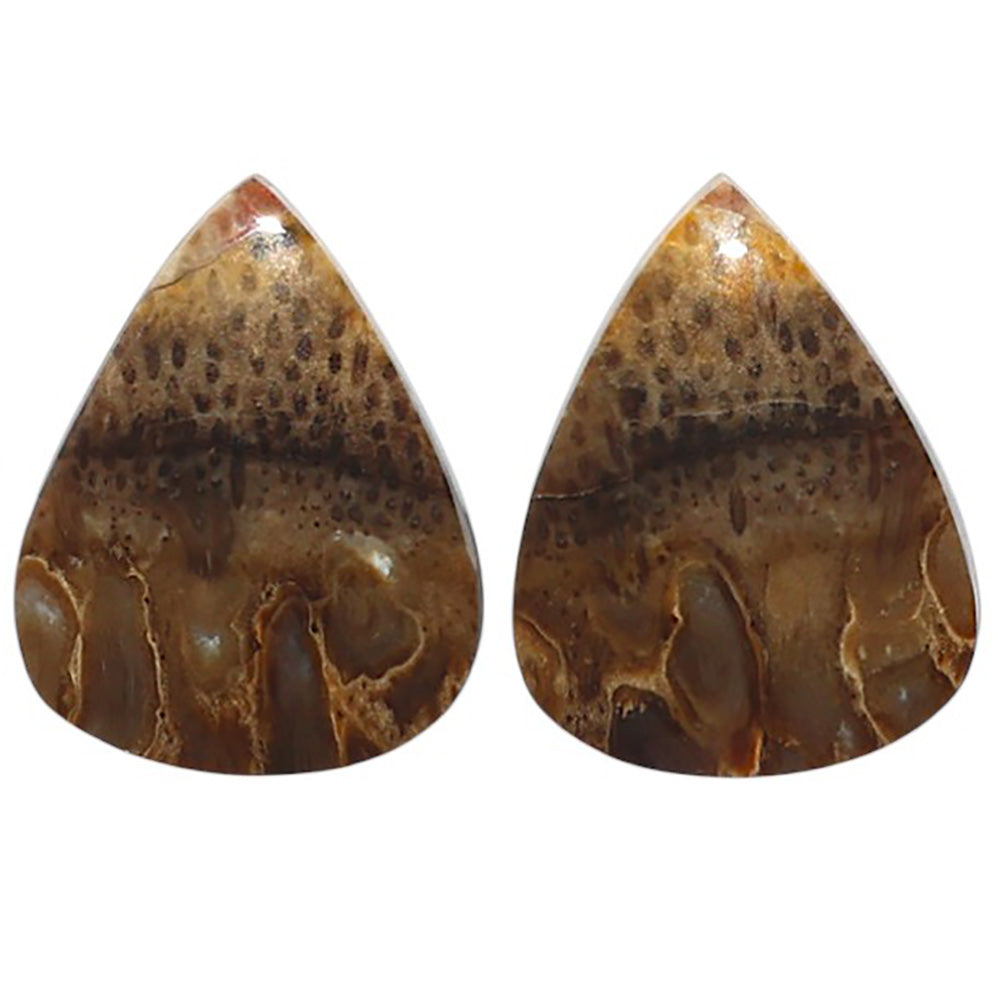 Natural Root Plume Agate 16x20.2x4 mm Pear Shape Polished Gemstone LS99-010640