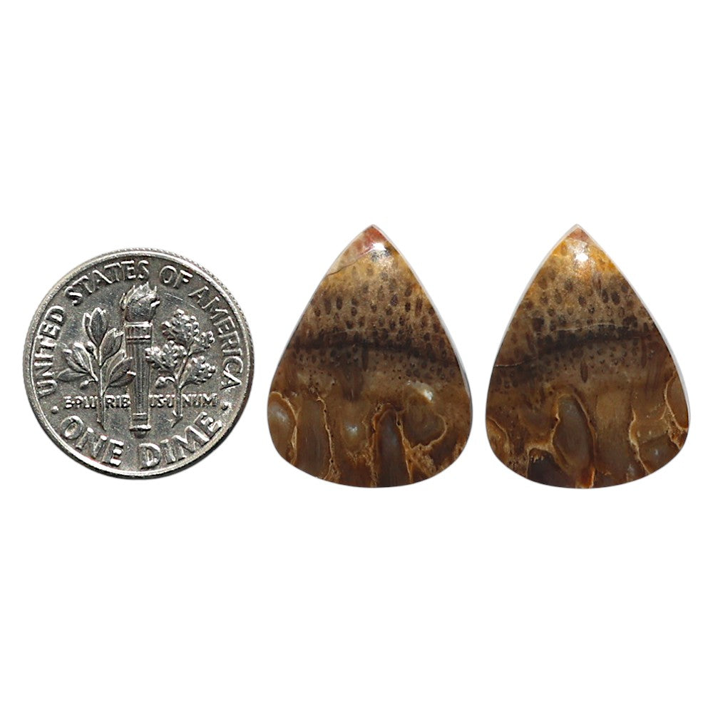 Natural Root Plume Agate 16x20.2x4 mm Pear Shape Polished Gemstone LS99-010640