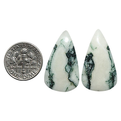 Natural Tree Weed Moss Agate 16.4x28.15x3.5 mm Pear Shape Polished Gemstone LS99-010642