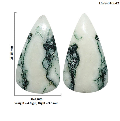 Natural Tree Weed Moss Agate 16.4x28.15x3.5 mm Pear Shape Polished Gemstone LS99-010642