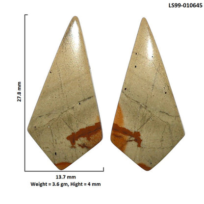 Natural Polygram Jasper 13.7x27.8x4 mm Fancy Shape Polished Gemstone LS99-010645