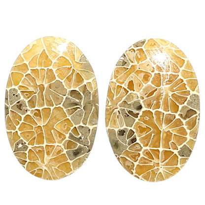 Natural Flower Fossil Coral 12.6x19.1x3.5 mm Oval Shape Polished Gemstone LS99-09505