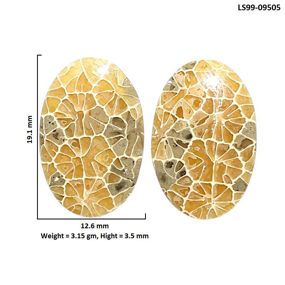 Natural Flower Fossil Coral 12.6x19.1x3.5 mm Oval Shape Polished Gemstone LS99-09505