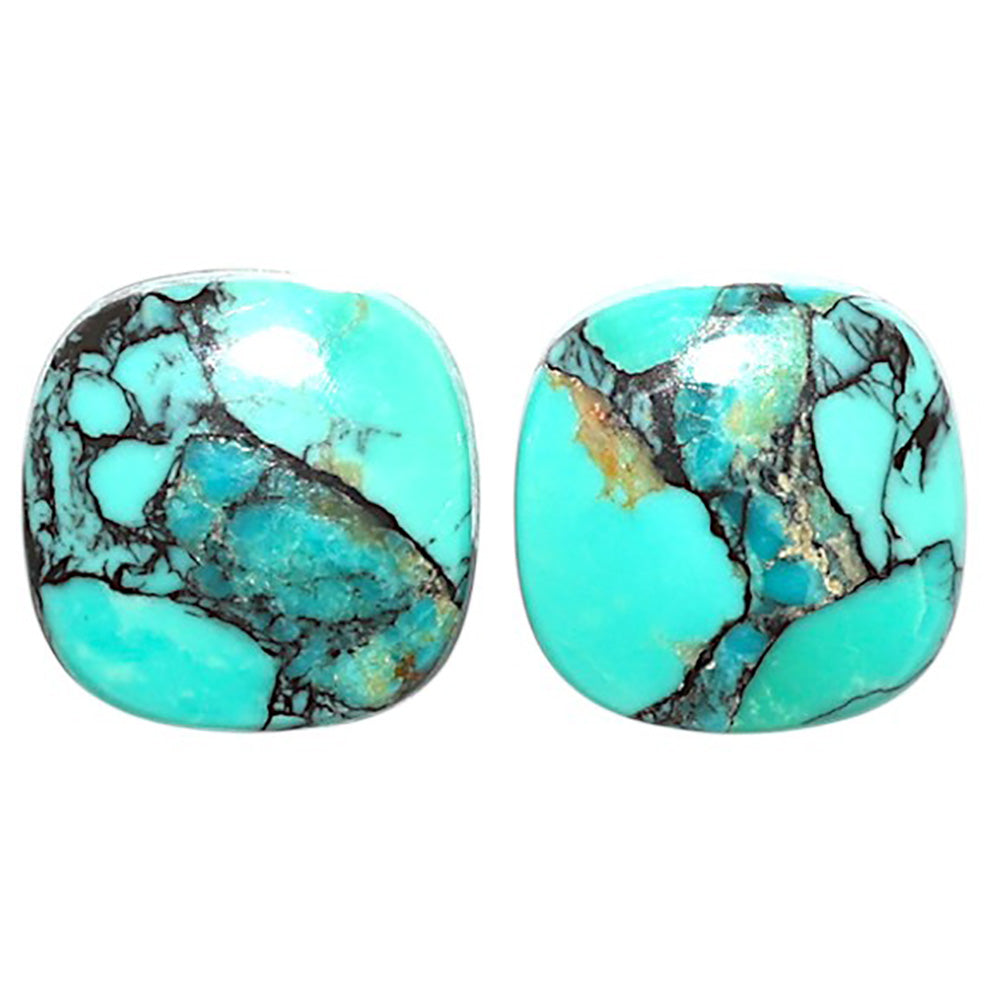 Natural Lucky Charm Tibetan Turquoise 13.2x13.2x4.2 mm Cushion Shape Polished Gemstone LS99-09521
