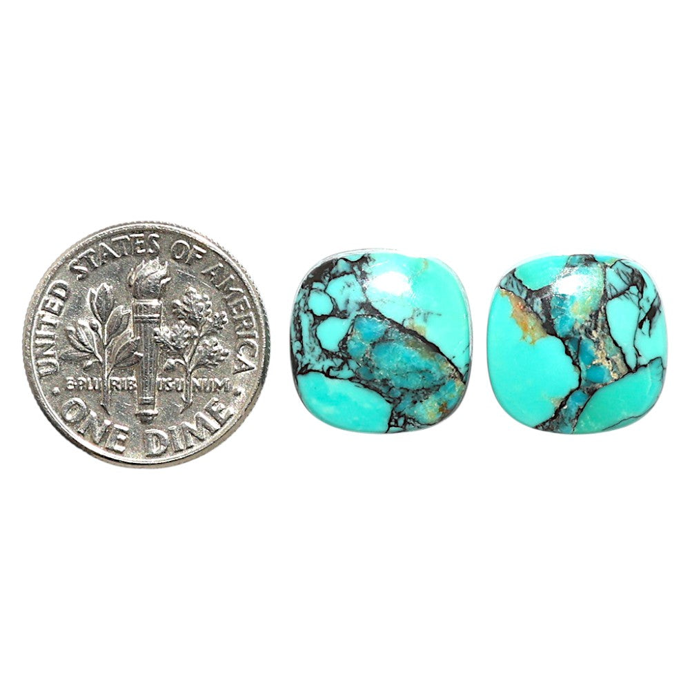 Natural Lucky Charm Tibetan Turquoise 13.2x13.2x4.2 mm Cushion Shape Polished Gemstone LS99-09521