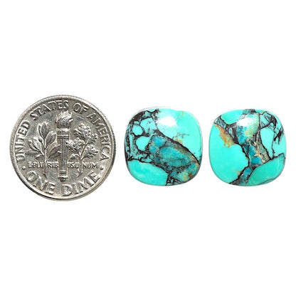 Natural Lucky Charm Tibetan Turquoise 13.2x13.2x4.2 mm Cushion Shape Polished Gemstone LS99-09521