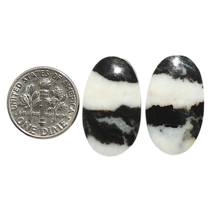 Natural Black Zebra Jasper 14.2x24.3x4.3 mm Oval Shape Polished Gemstone LS99-09526