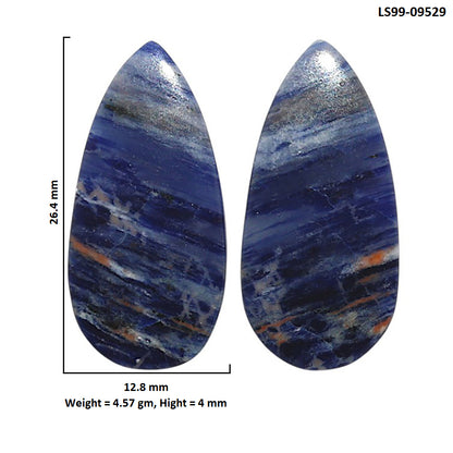 Natural Sodalite 12.8x26.4x4 mm Pear Shape Polished Gemstone LS99-09529
