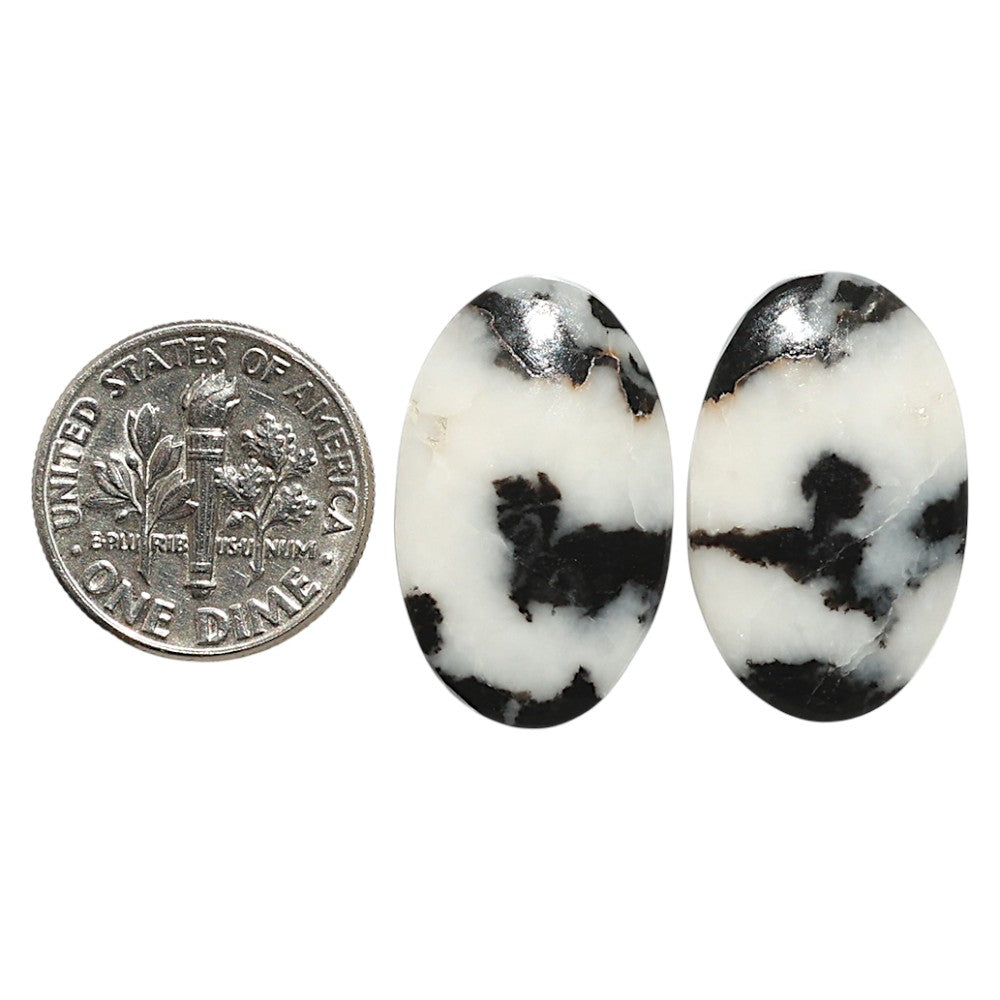 Natural Black Zebra Jasper 14.5x23.3x4.5 mm Oval Shape Polished Gemstone LS99-09547