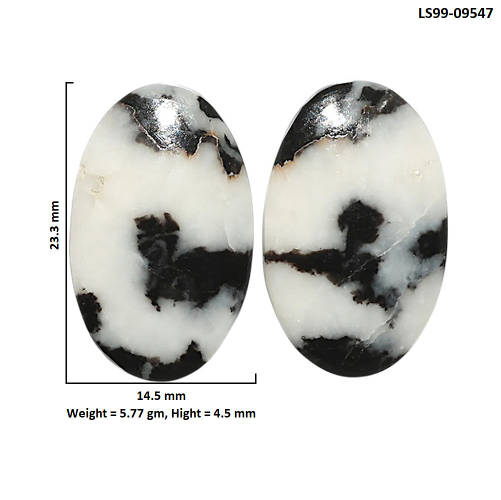Natural Black Zebra Jasper 14.5x23.3x4.5 mm Oval Shape Polished Gemstone LS99-09547