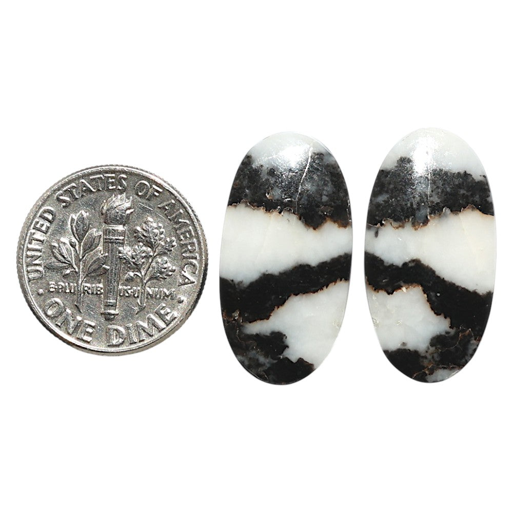 Natural Black Zebra Jasper 12.25x23.5x4 mm Oval Shape Polished Gemstone LS99-09550