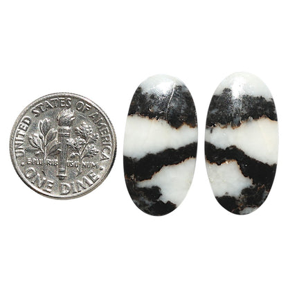 Natural Black Zebra Jasper 12.25x23.5x4 mm Oval Shape Polished Gemstone LS99-09550