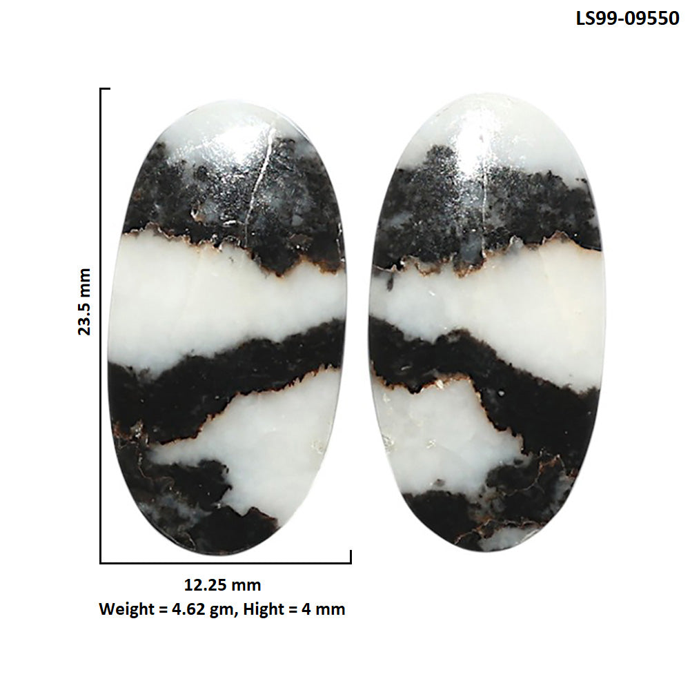 Natural Black Zebra Jasper 12.25x23.5x4 mm Oval Shape Polished Gemstone LS99-09550