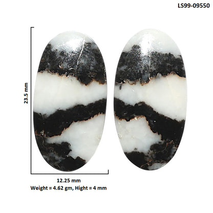 Natural Black Zebra Jasper 12.25x23.5x4 mm Oval Shape Polished Gemstone LS99-09550