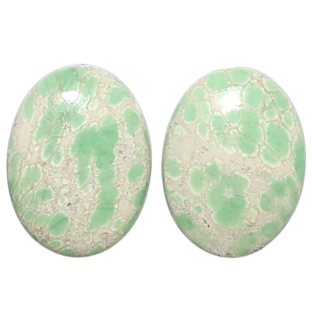 Natural Utah Variscite 12x16x4 mm Oval Shape Polished Gemstone LS99-09559
