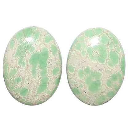 Natural Utah Variscite 12x16x4 mm Oval Shape Polished Gemstone LS99-09559