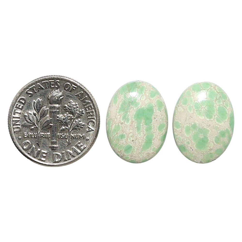 Natural Utah Variscite 12x16x4 mm Oval Shape Polished Gemstone LS99-09559