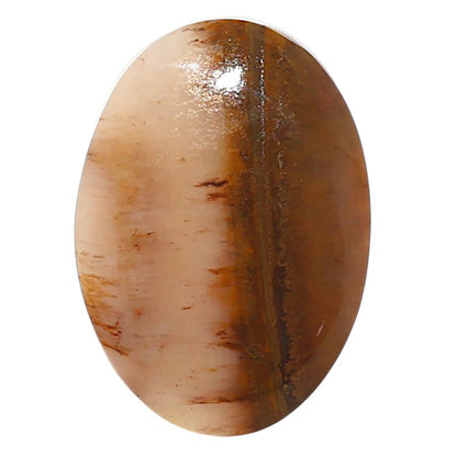 Natural Oregon Moss Agate 16.3x23x5 mm Oval Shape Polished Gemstone LS99-09629