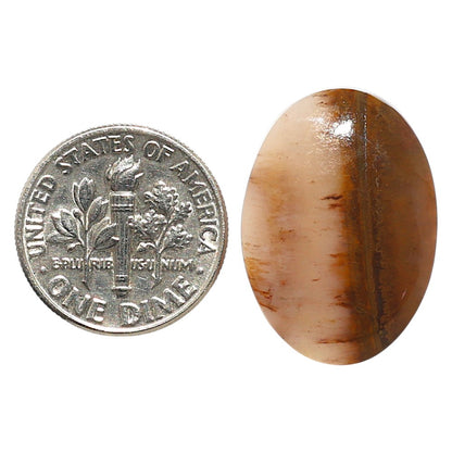Natural Oregon Moss Agate 16.3x23x5 mm Oval Shape Polished Gemstone LS99-09629